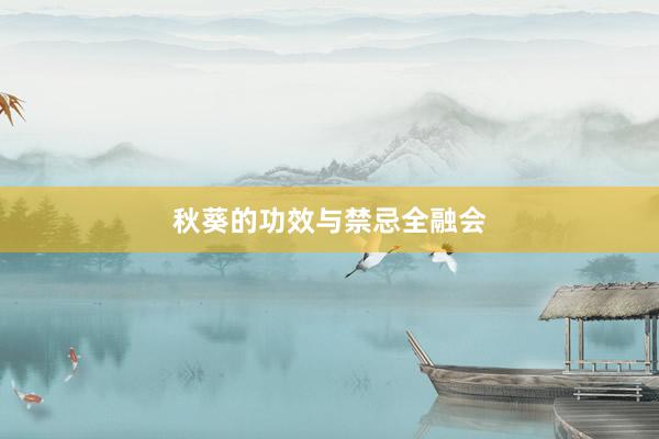 秋葵的功效与禁忌全融会
